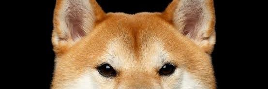 erysmbln_'s profile banner image
