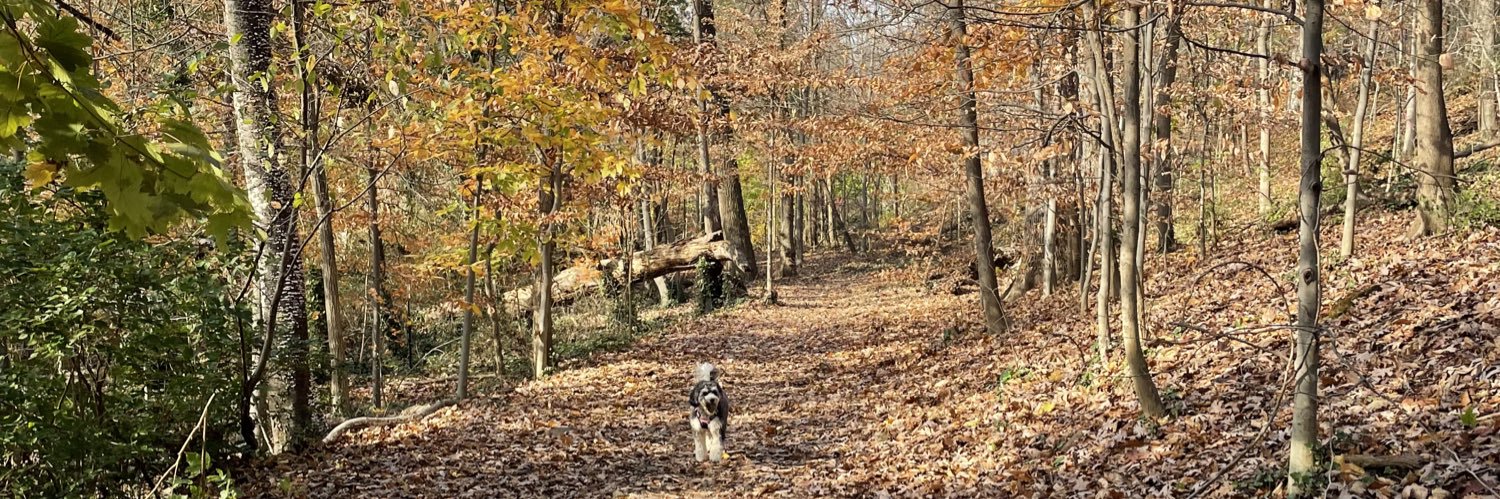 Lauren Gardner banner