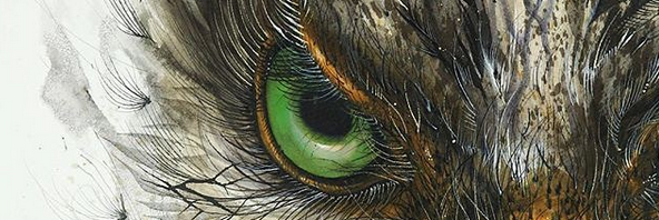 golgem_6's profile banner image