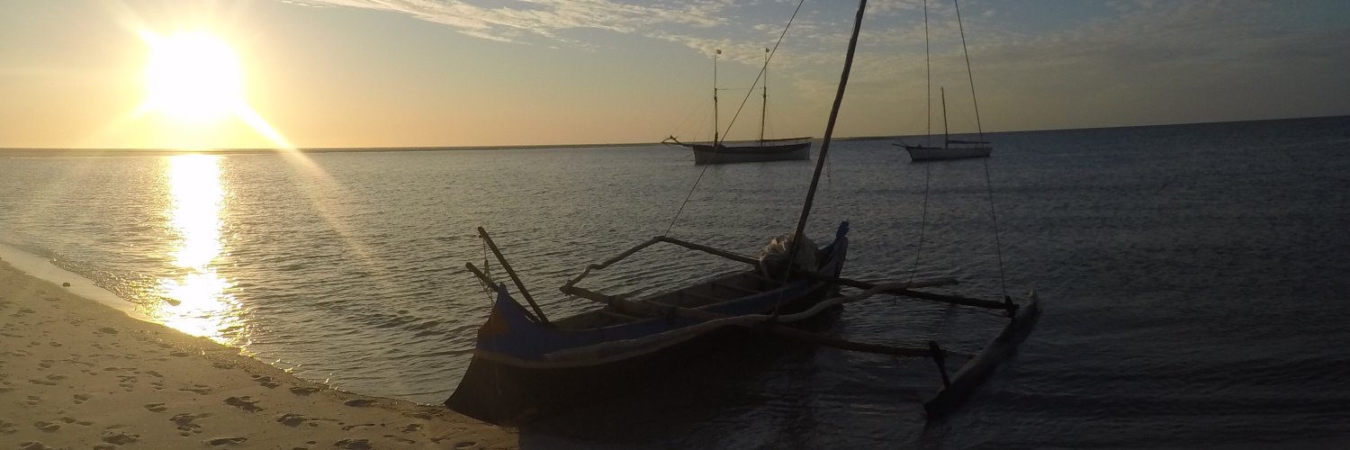 vickyvinoles's profile banner image