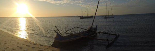 vickyvinoles Profile Banner