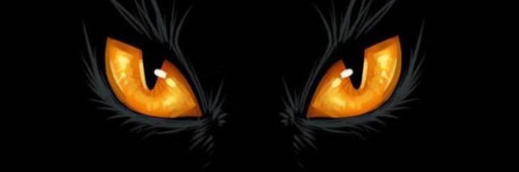 brownies60's profile banner image