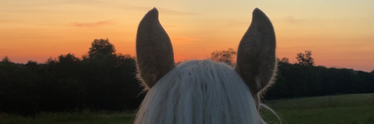 BethVeach21's profile banner image