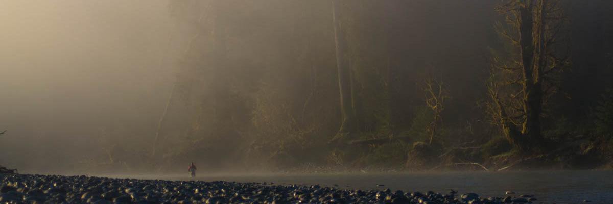 Sage Fly Fishing banner