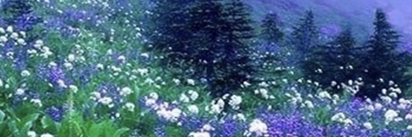 annasbae1's profile banner image