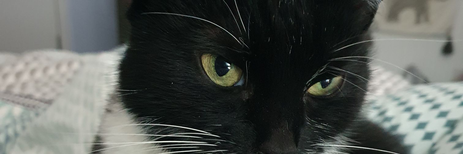 delceff71's profile banner image