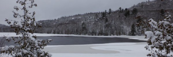 AinslieLady Profile Banner