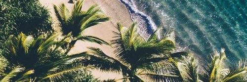 abbslindquist's profile banner image