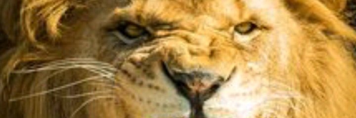 Olags10's profile banner image