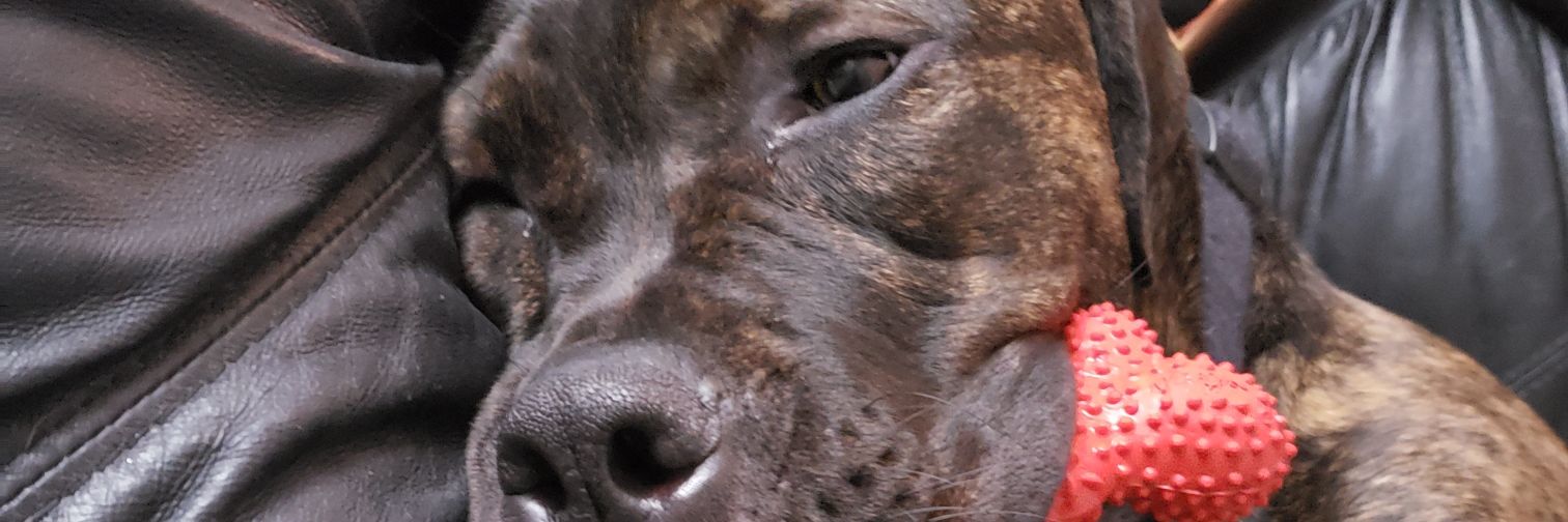 raymondoup's profile banner image