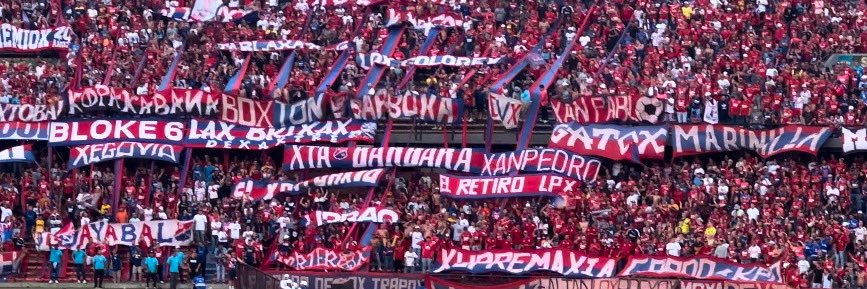 FIDEL TIENE PARVOVIRUS banner
