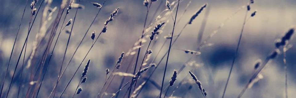 DMG2977's profile banner image
