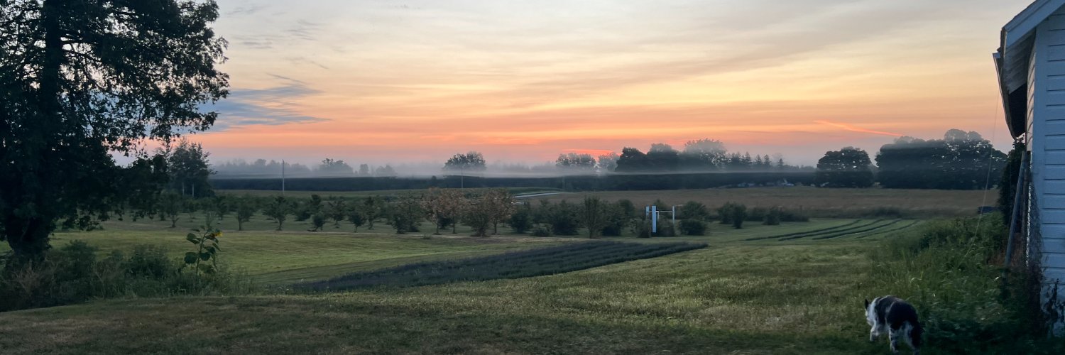 Christian Pillat banner