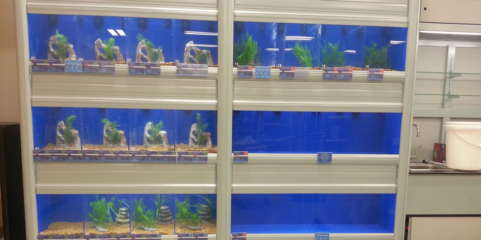 PetSmart banner