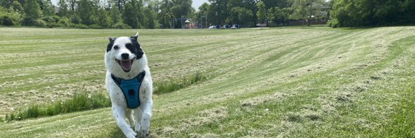 bohansec Profile Banner