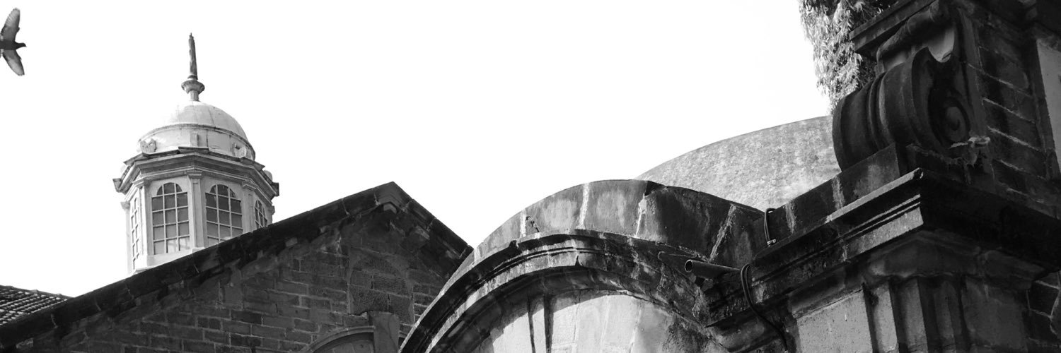lapmitarpus's profile banner image