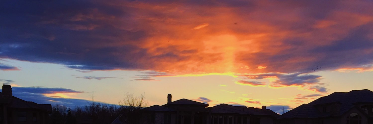 michellebarham1's profile banner image