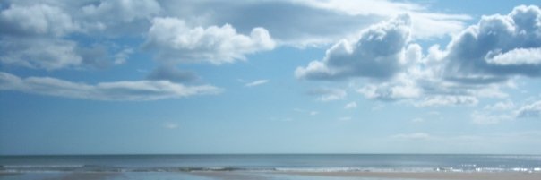 Lainey 🇪🇺 banner