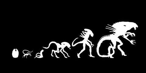 pedghgdg's profile banner image