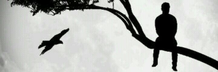temarquiz's profile banner image