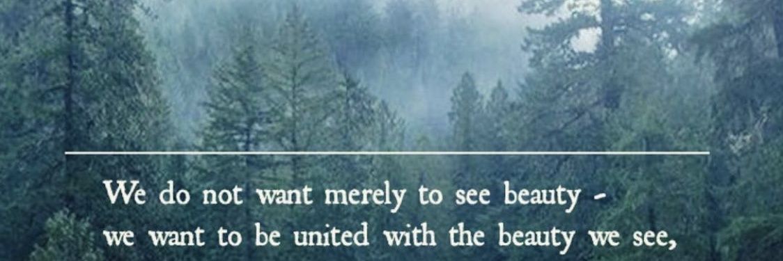mercie241's profile banner image