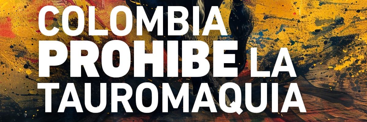 Sofía Victoria ⓥ banner