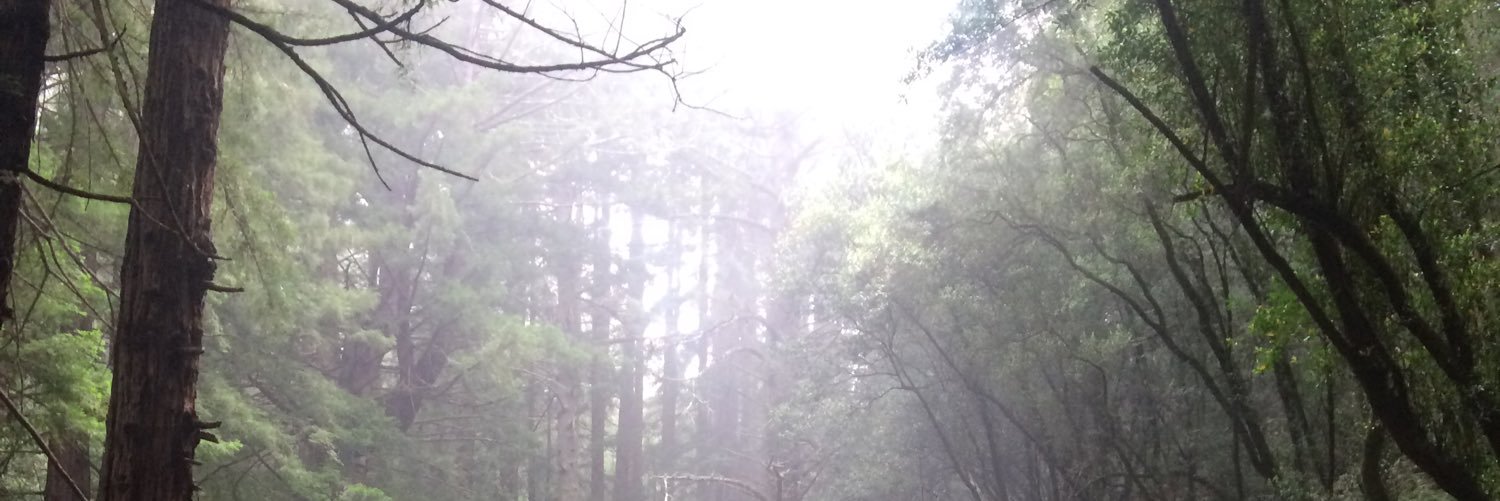 angelbrewhaha's profile banner image