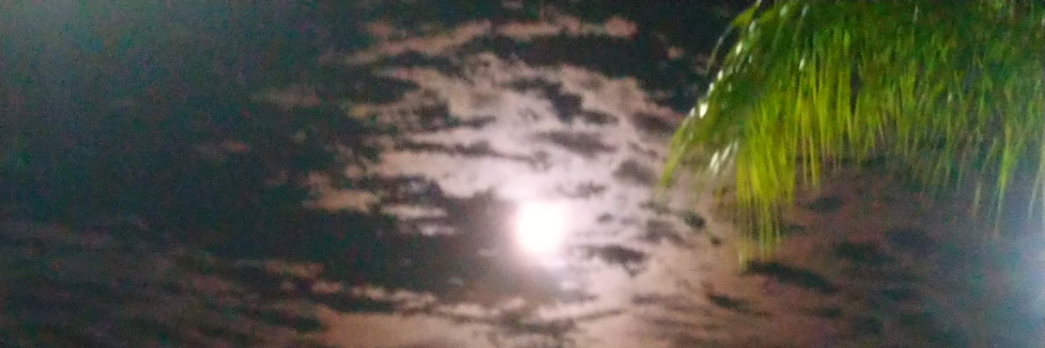 marga2791's profile banner image