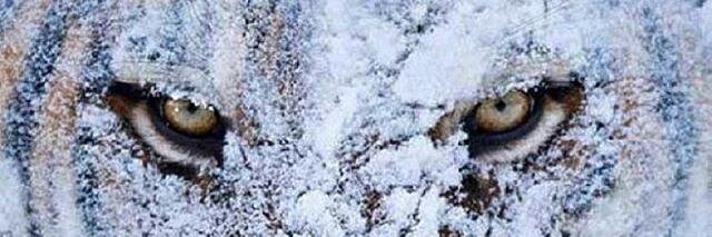 valle_jf's profile banner image