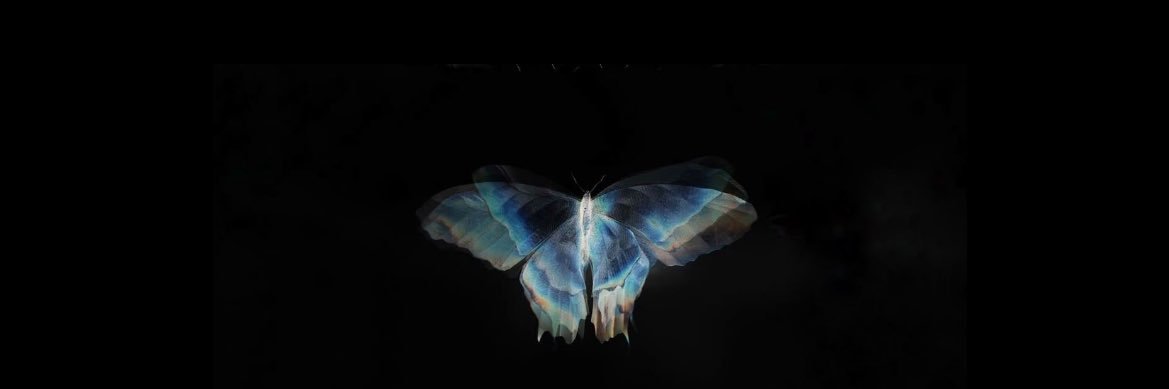 شآي🦋's banner