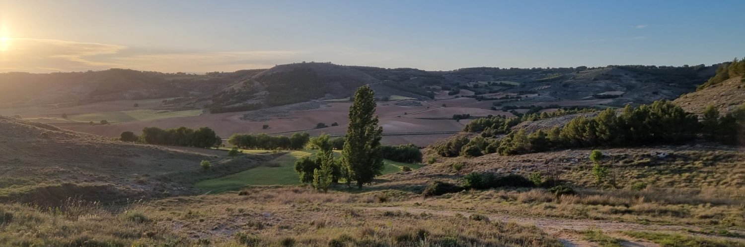 SandriSolera's profile banner image