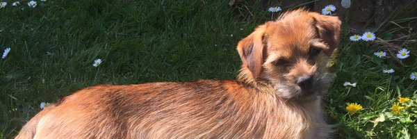 joelroberts74 Profile Banner