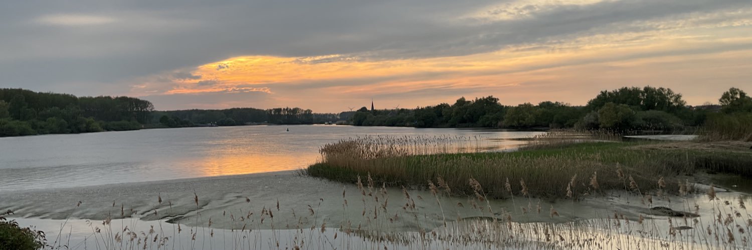 Koen Vleminckx banner