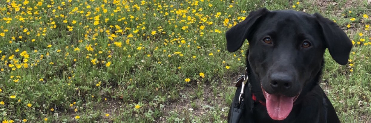 Jacob__Baller's profile banner image