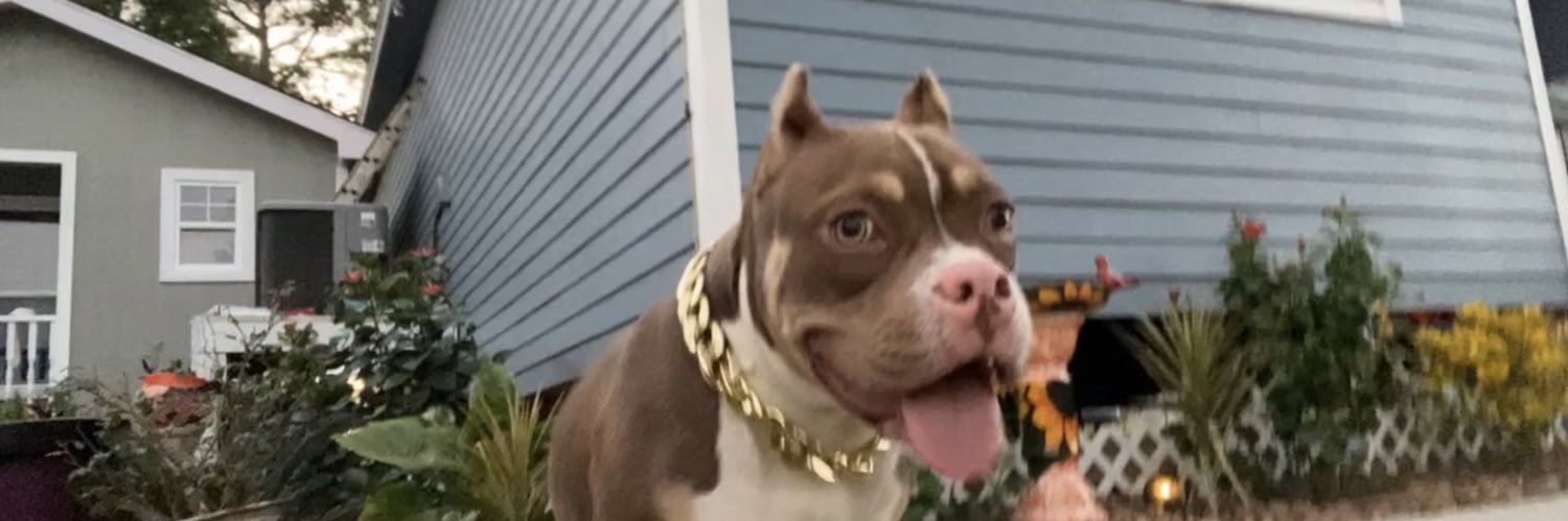 lil_sett's profile banner image