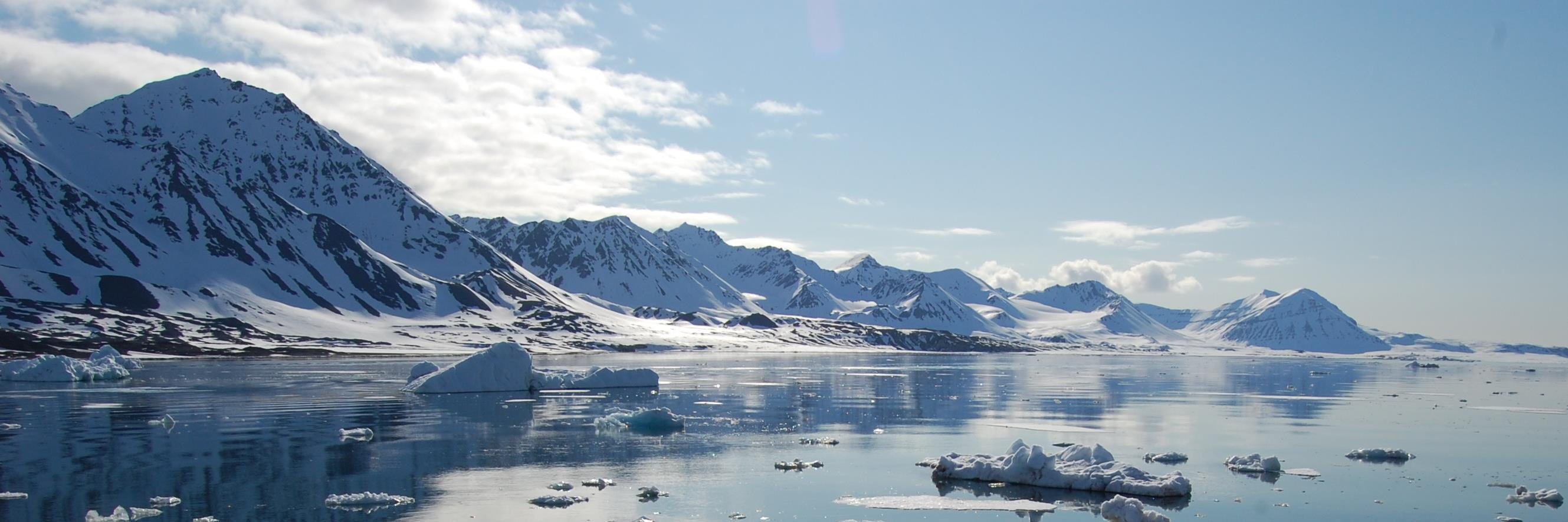 Erlend A. T. Hermansen banner