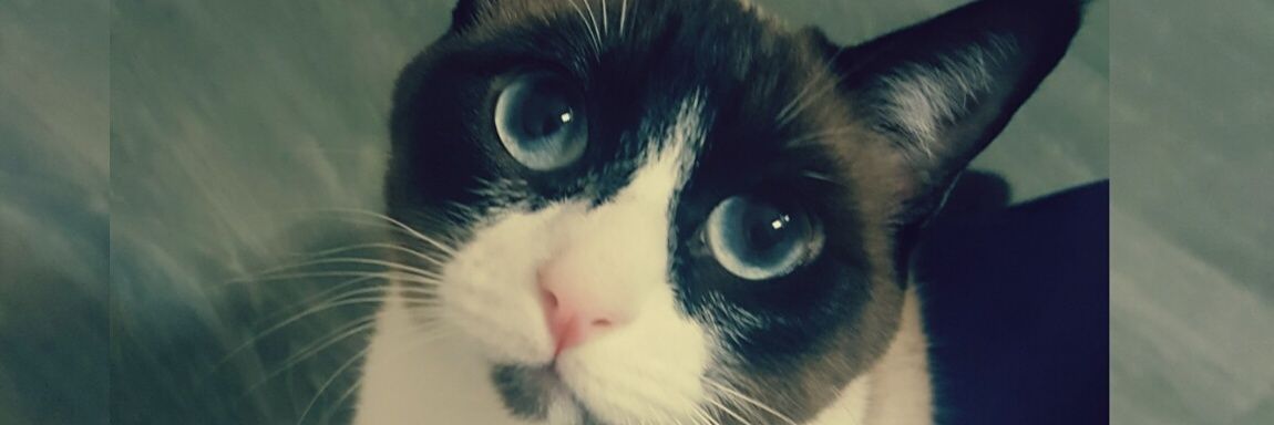 nataliagj83's profile banner image