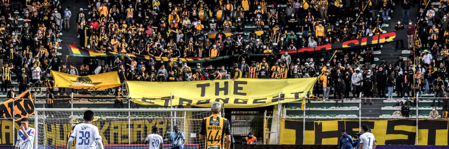 David Mateos banner