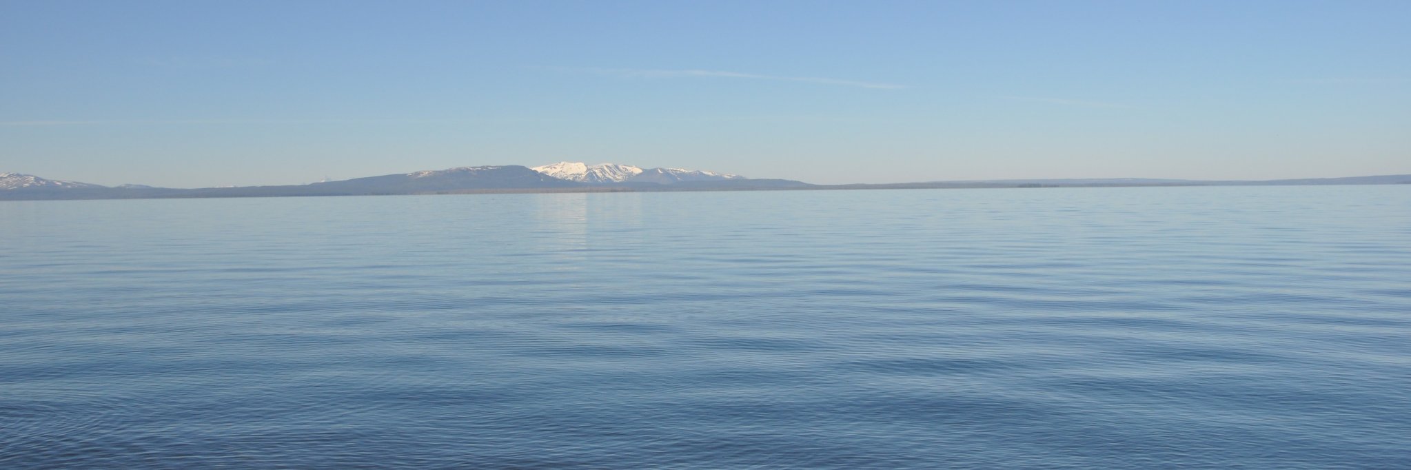 Sushil Neupane banner