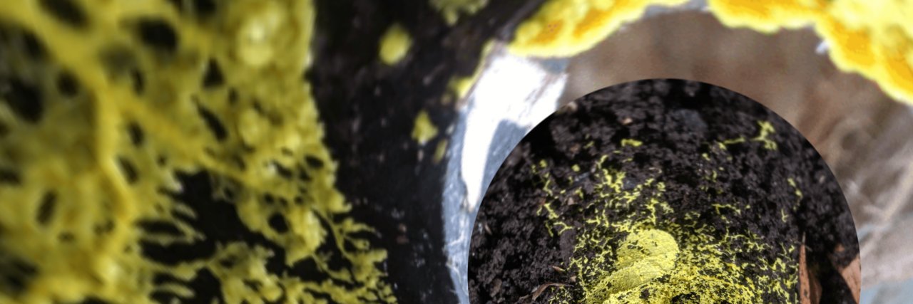 cantrip7's profile banner image