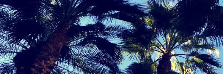 MichaelaMoody's profile banner image