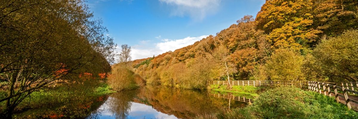 Sean J Photography banner