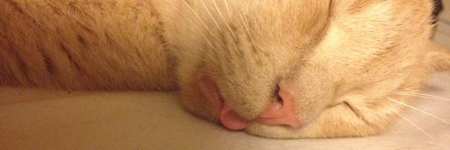 MiaOvergaard's profile banner image