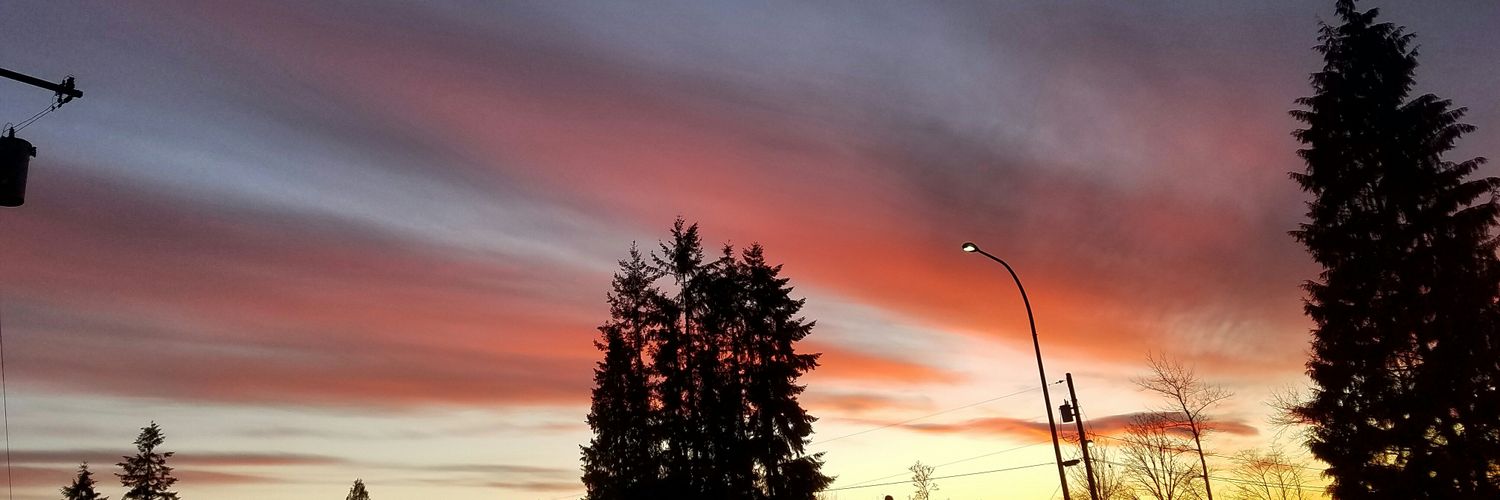 scottscameron's profile banner image