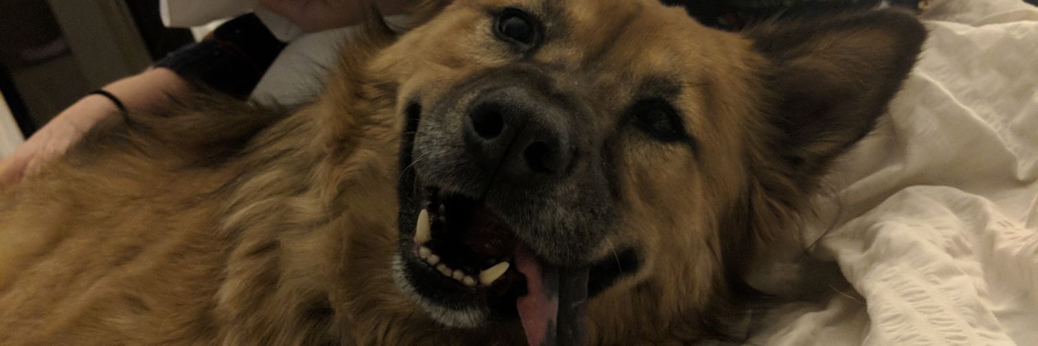 tkmarshburn's profile banner image