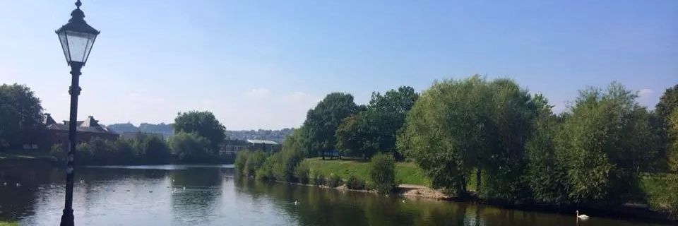 Ms_Che_'s profile banner image