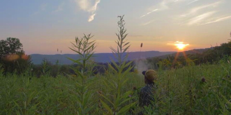 MajorLewwk's profile banner image