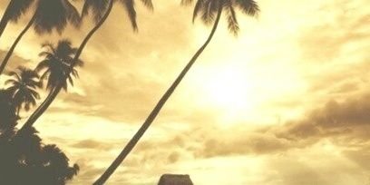 amelievegdr's profile banner image