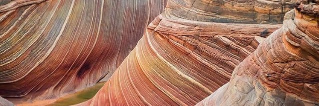 MargotWeir's profile banner image