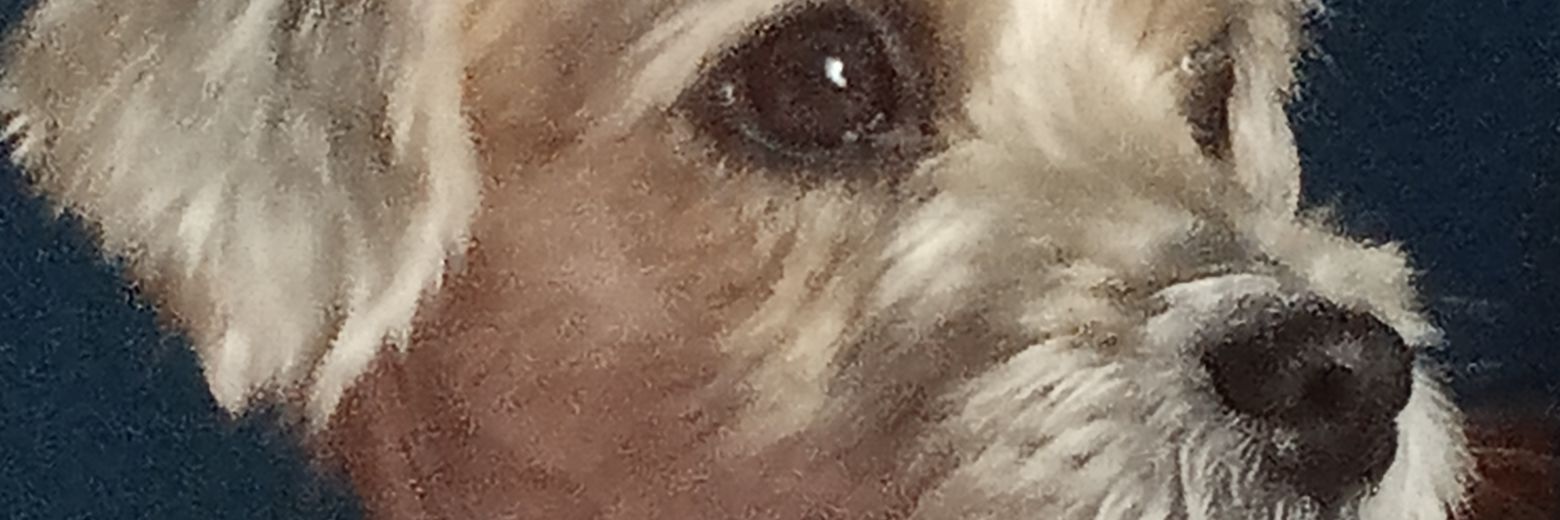 Ejam29's profile banner image